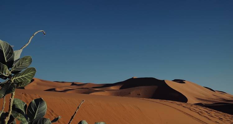Maroc classique 11 jours - One Life Adventures - One Life Adventures 6