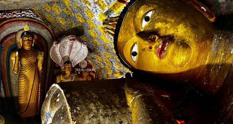 À la découverte des trésors du Sri Lanka, une aventure de 14 jours de Negombo à Mirissa - Apple Vacations Pvt Ltd 10