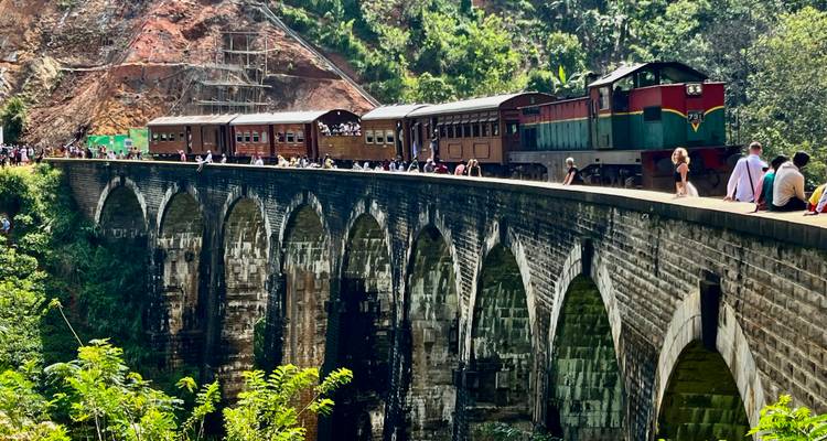 Een schilderachtige trein die een historische boogbrug oversteekt.