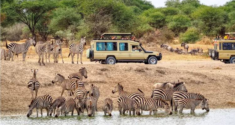 4 Jours 3 Nuits Tarangire ,Serengeti & Ngorongoro Lodge Safari - Authentic Africa 3