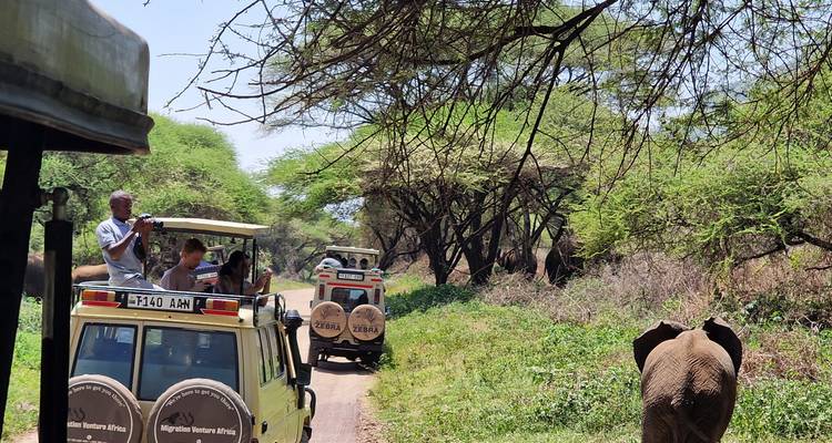 Vehículos de safari observando un elefante en la naturaleza.