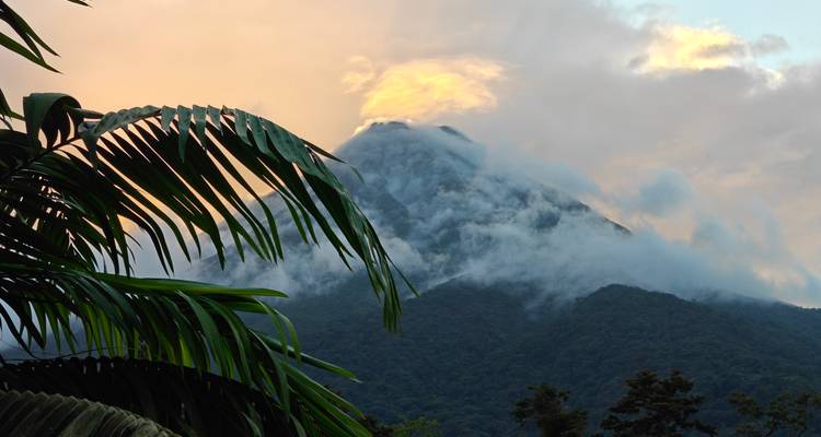Playas y naturaleza con Santa Teresa - Destination Services Costa Rica 3