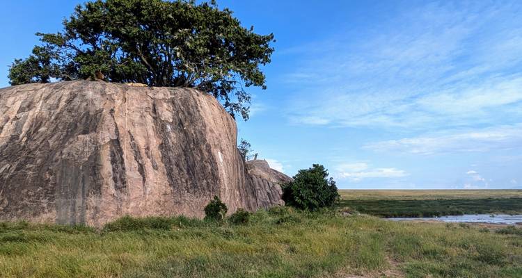 Große Felsformation mit einem Baum oben drauf in grasbewachsenen Ebenen.