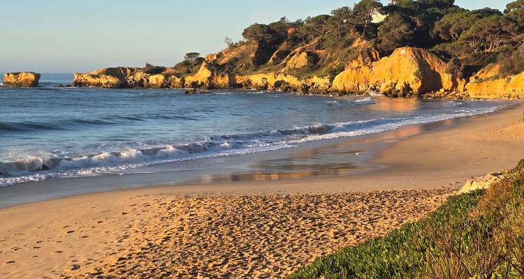 Beach with golden sand and cliffs at sunset.