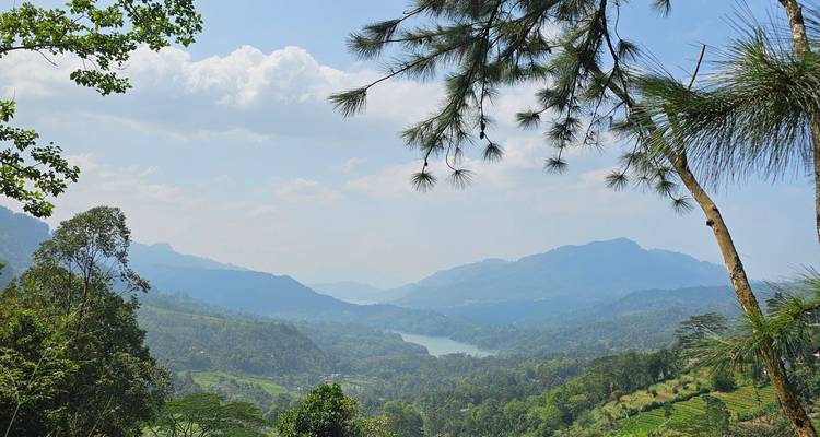 Découvrez la beauté du Sri Lanka - ASY Tours Sri Lanka 10