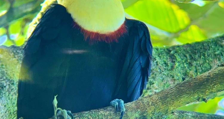 Journeys: Explore Costa Rica National Geographic Journeys - National Geographic Journeys with G Adventures 9