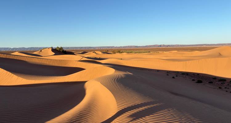 8 jours de randonnée dans le désert marocain - Desert vie  1