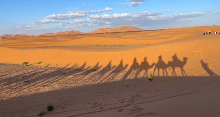 Circuit de 8 jours à la découverte du Maroc, de Casablanca à Marrakech en passant par le désert - Morocco Flawless Travels 6