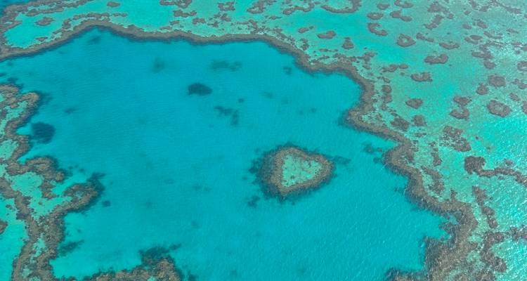 Vista aérea de la Gran Barrera de Coral con aguas turquesas.