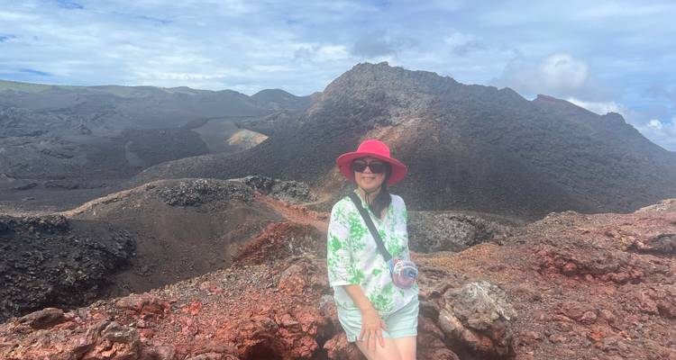 A person standing in front of a volcanic landscape with a clear sky.
