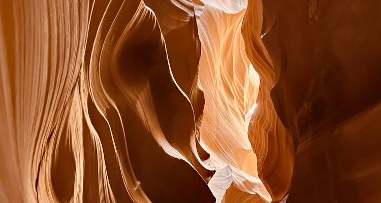 Swirling sandstone walls with a soft glow in Antelope Canyon.