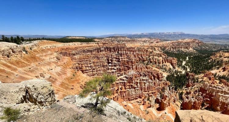 Vast panoramic view of Bryce Canyon's unique rock formations.