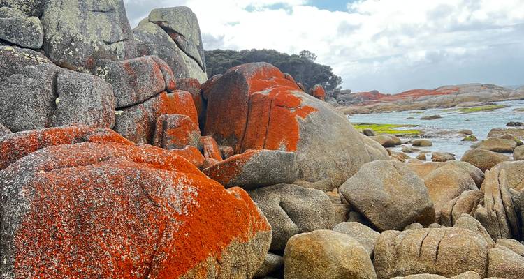 Explorer Six - 6 Day Tour of Tasmania - Under Down Under Tours 7