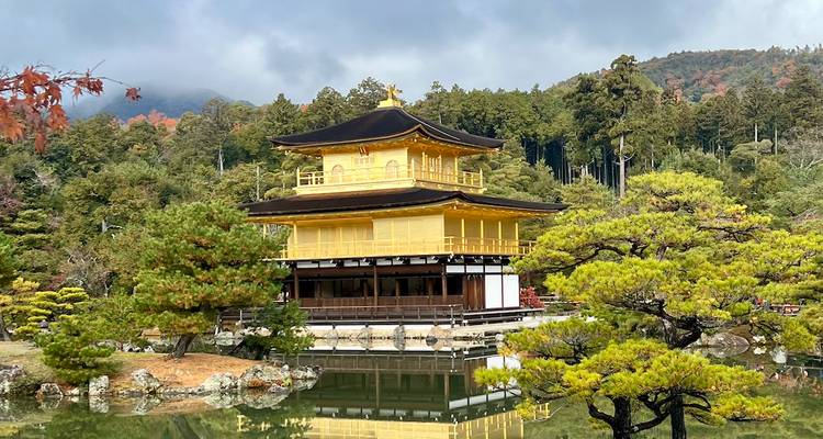 Le splendide Japon avec Nagoya - 9 jours (chambres d'hôtel privées 3 étoiles) - Stunning Tours 6
