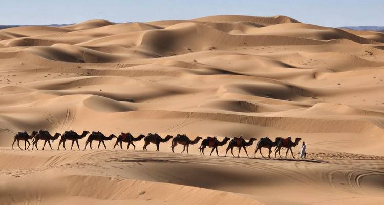5 day trip: Sahara Fun Outdoor Experience - TouaregTrails 7