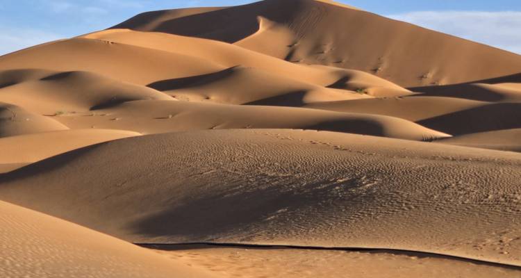 Voyage de 5 jours : Expérience de plein air amusante au Sahara - TouaregTrails 10