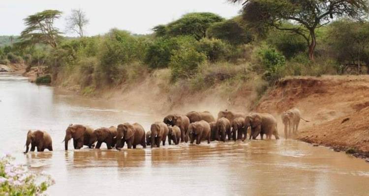 SAFARI CÔTIER DE 5 JOURS À AMBOSELI, TSAVO EST ET TSAVO OUEST - Bencia Africa Adventure and Safaris 1