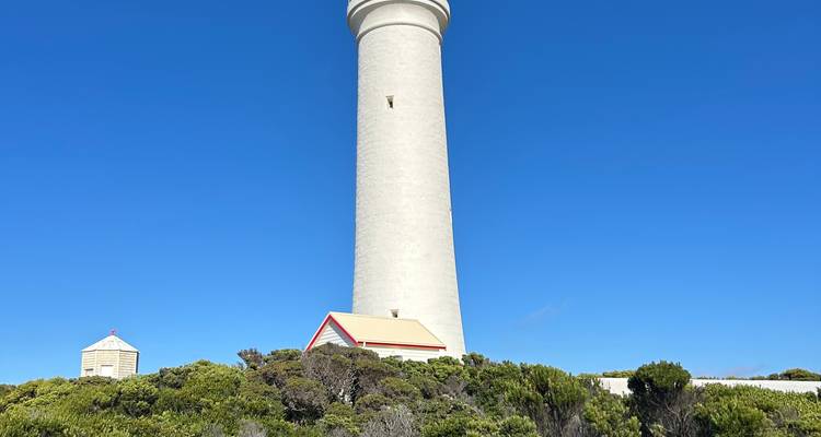 The Great Ocean Road Melbourne - Adelaide 4 day 3 night Tour - See Adelaide and Beyond 4