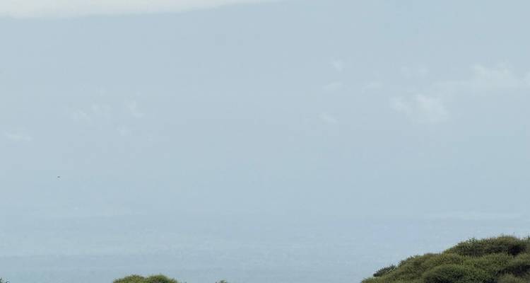 Increíble safari combinado de 6 días por Kenia y Tanzania - Afrishare Trekking And Safaris 6