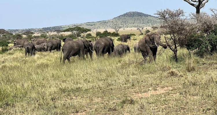 Safari culturel en Tanzanie - Zara Tours (Zara Tanzania Adventures) 6
