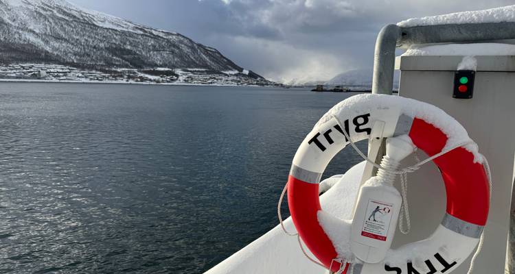 Expérience arctique à Tromsø et dans les îles Lofoten - V.O.S – Vision of Scandinavia 1