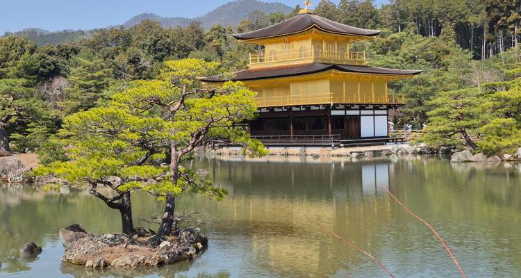 Circuit culturel de 11 jours au Japon :  Route de l'or et au-delà - The Dragon Trip 3