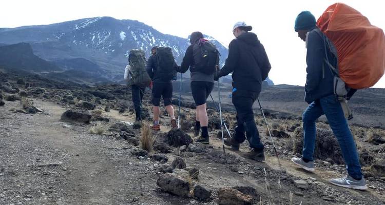 Route du Kilimandjaro et du Machame - 7 jours * - Zara Tours (Zara Tanzania Adventures) 6