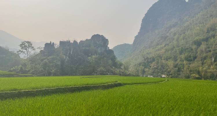 Highlights of Northern Vietnam In 6 Days - Realistic Asia 2
