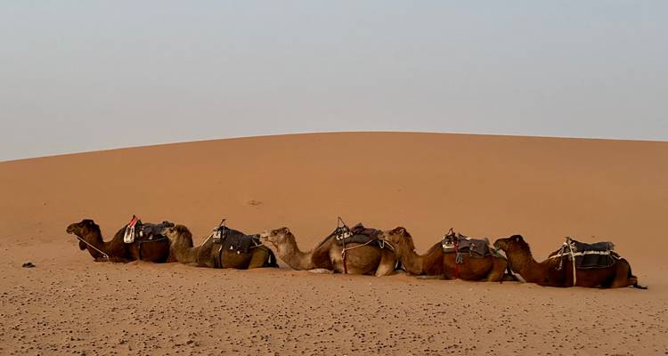 10 Days Grand Morocco Adventure - Morocco Joy Travel 7