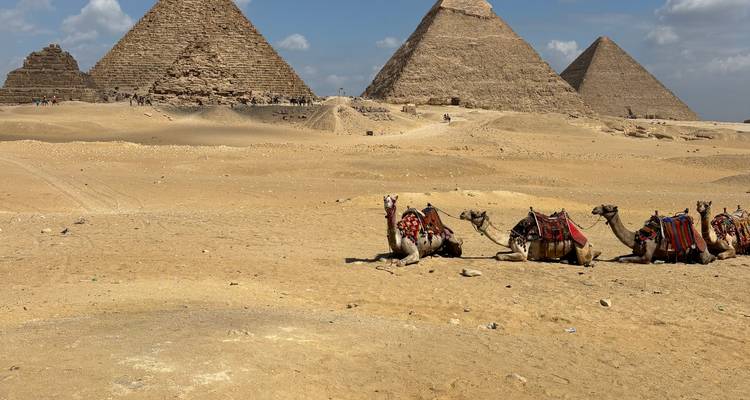 Piramides van Giza met kamelen die rusten op de voorgrond.