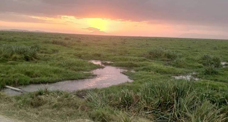 SAFARI CÔTIER DE 5 JOURS À AMBOSELI, TSAVO EST ET TSAVO OUEST - Bencia Africa Adventure and Safaris 3