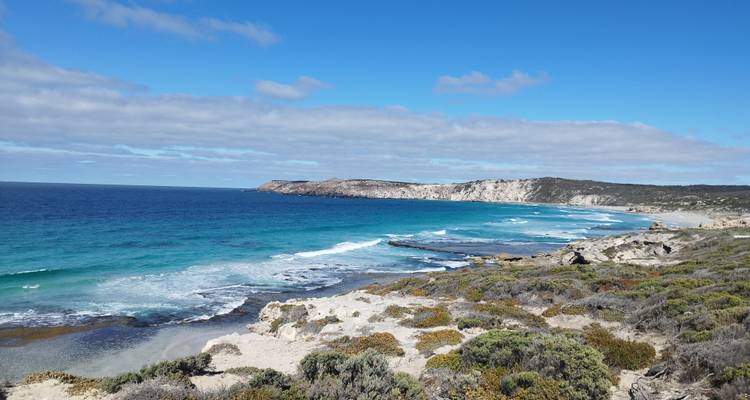 Kangaroo Island - 2 jours d'aventure en petit groupe pour la faune et la flore (hébergement partagé ou privé disponible) - See Adelaide and Beyond 2