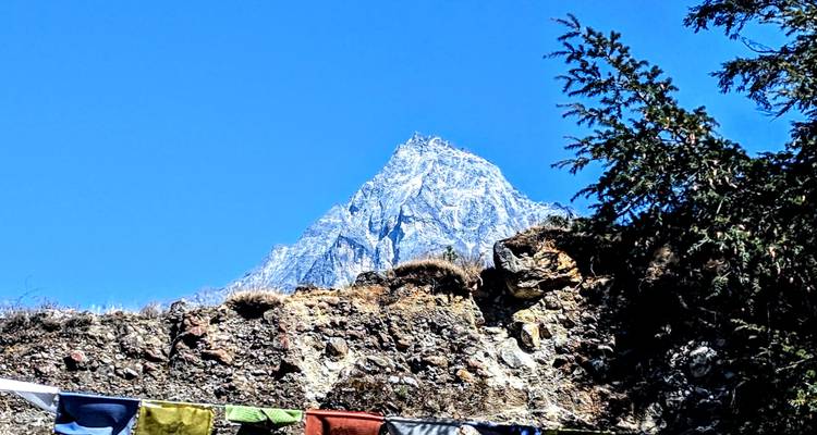 Sommet de montagne dominant la cime des arbres par une journée ensoleillée.