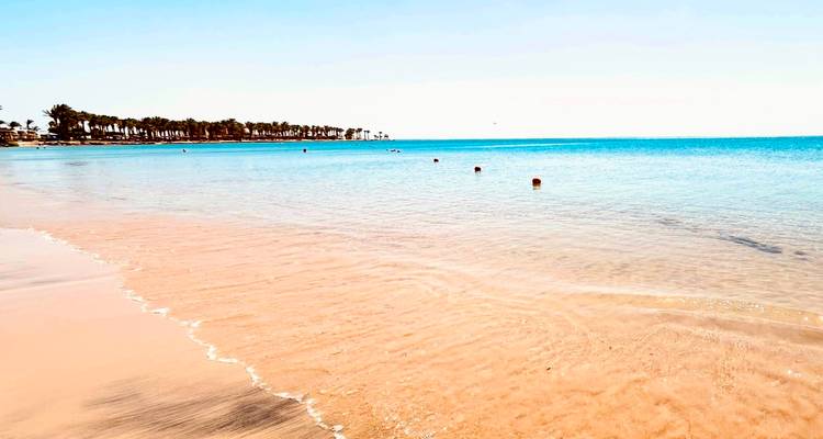 Serene beach with clear blue water and palm trees.