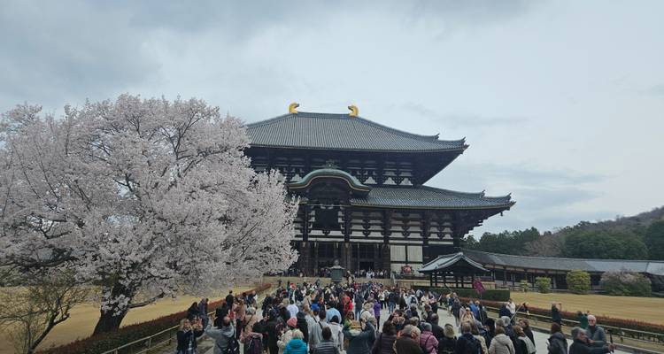 Explorateur essentiel du Japon - 13 jours - On The Go Tours 5
