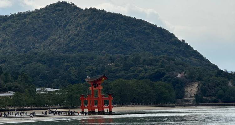 Contrastes du Japon et de Tokyo - Europamundo 5
