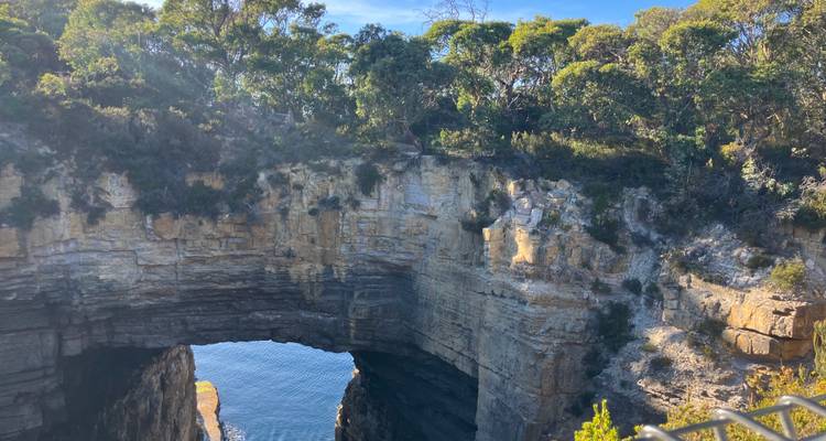 Découverte de la nature en Tasmanie - Australia and New Zealand Travel Company 1