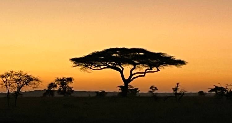 The Southern Safari - Absolute Africa 2