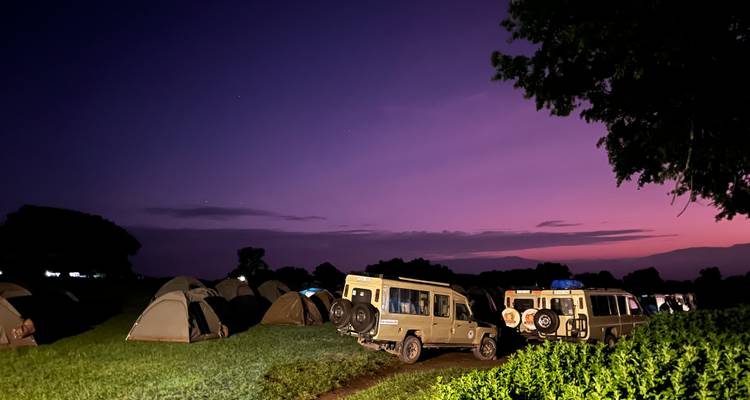 The Southern Safari - Absolute Africa 4