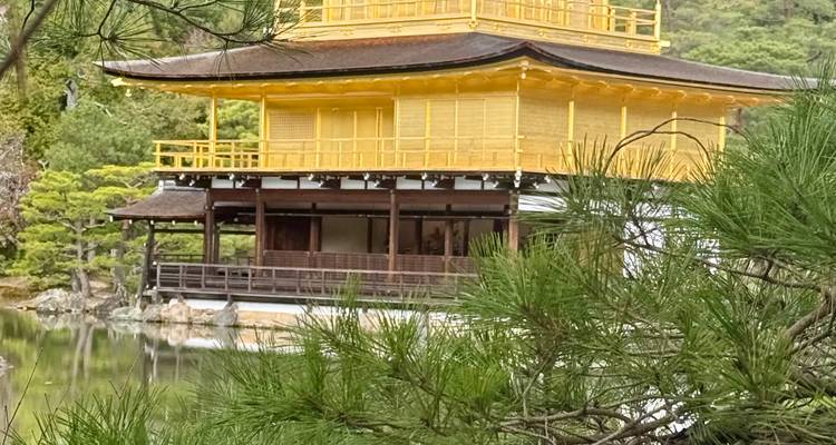 Le splendide Japon avec Nagoya - 9 jours (chambres d'hôtel privées 3 étoiles) - Stunning Tours 8