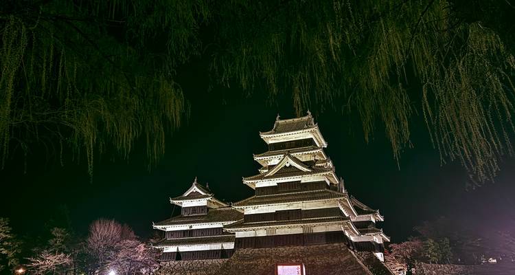 Le splendide Japon avec Nagoya - 9 jours (chambres d'hôtel privées 3 étoiles) - Stunning Tours 10