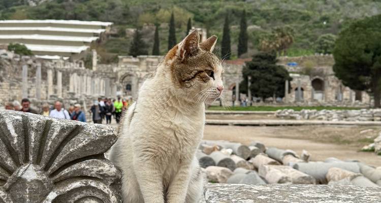 6 jours - Ephèse, Pamukkale, Antalya&Cappadocia / en avion - Tour Altinkum Travel 1