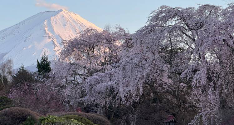 Essentiel Japon - Europamundo 1