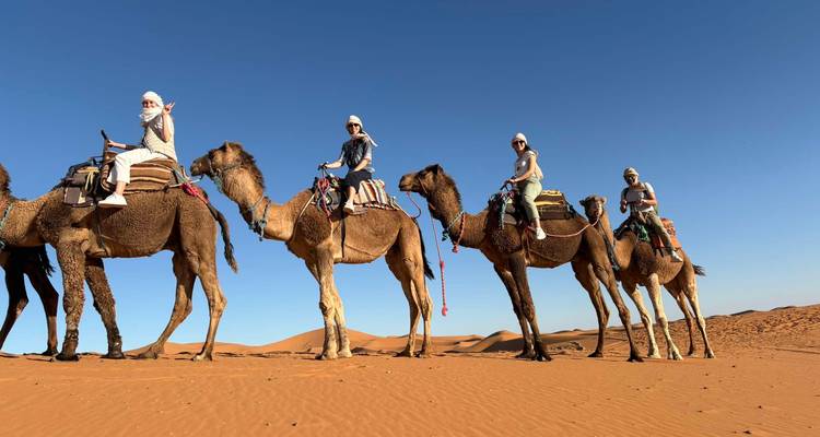 Touristen reiten auf Kamelen in der Wüste.