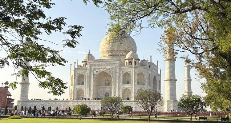 Golden Triangle & Tigers - ALL INCLUSIVE - Amazing India Tours 7