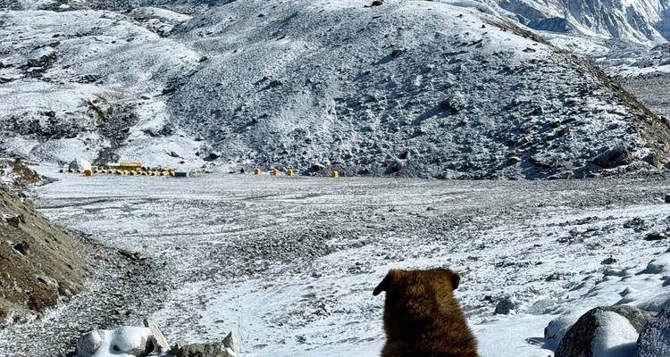 Everest Base Camp Trek - 9 Days - Sherpa Expedition Teams 4
