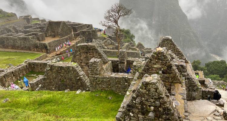 4 JOURS DE VOYAGE À TRAVERS CUSCO, LA VALLÉE SACRÉE ET MACHUPICCHU - Waman Adventures 6