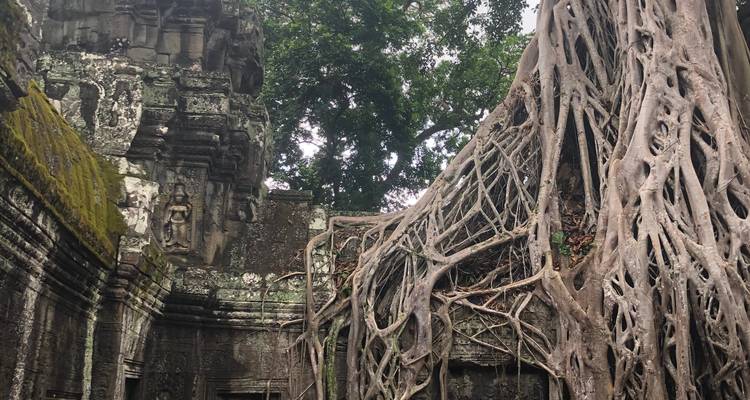 Amazing Cambodia in 5 Days - Private Tour - Realistic Asia 4