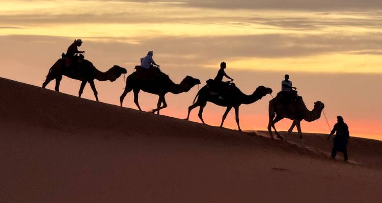 Camel caravan crossing a desert during sunset.
