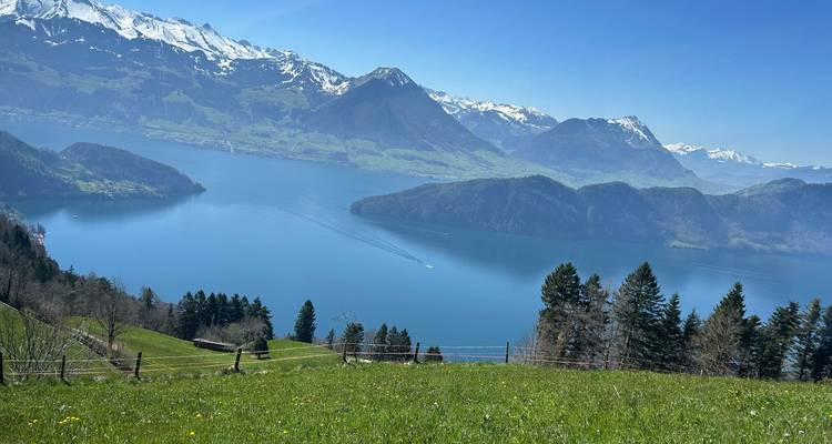 [Self-Guided] Switzerland in a Week (Zurich, Interlaken and Lucerne) - WiseYatra 7